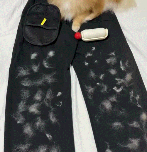 Magic Brush - Buy 1 Get 1 Free
