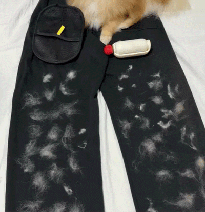 Magic Brush - Buy 1 Get 1 Free