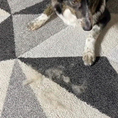 Magic Brush - Buy 1 Get 1 Free