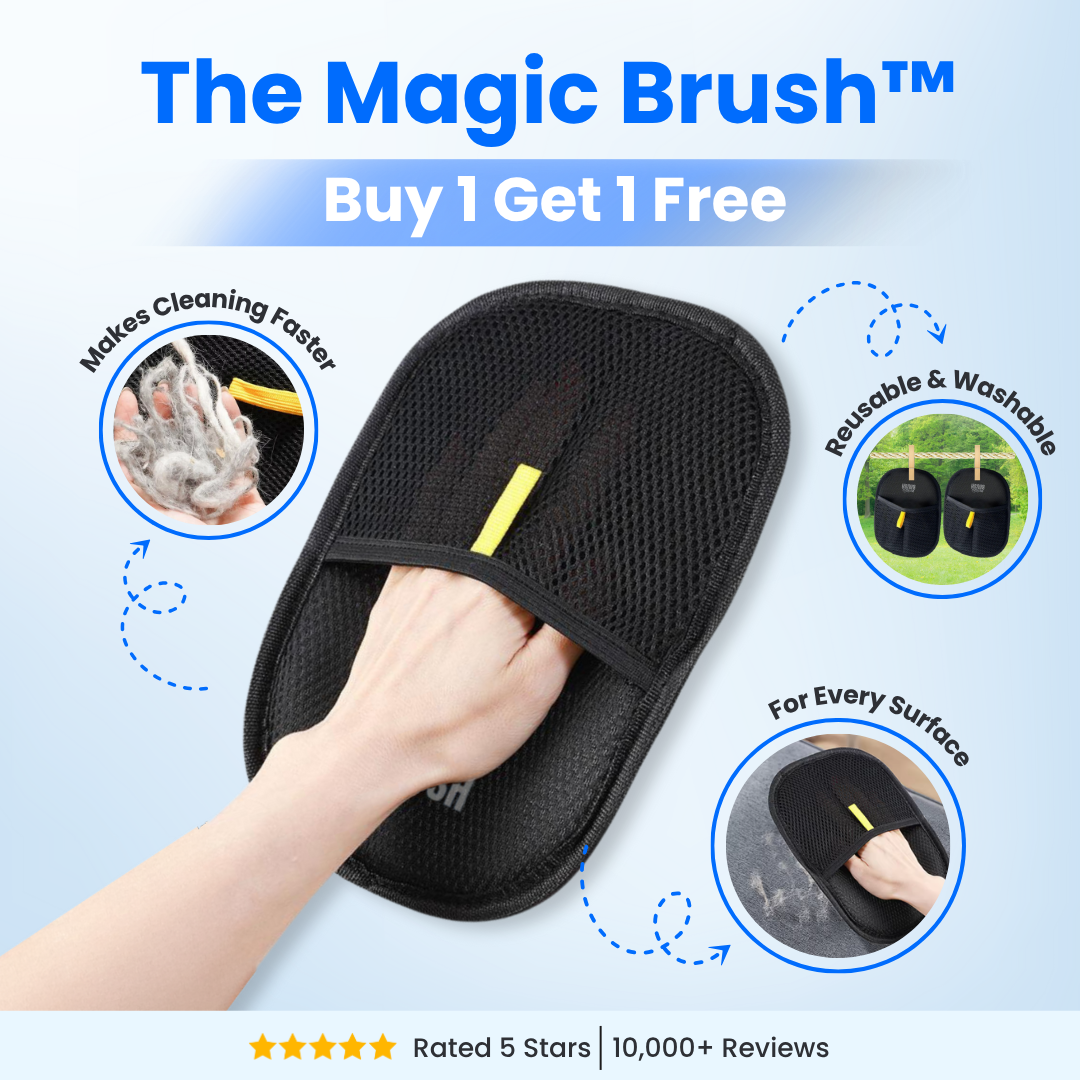Magic Brush - Buy 1 Get 1 Free