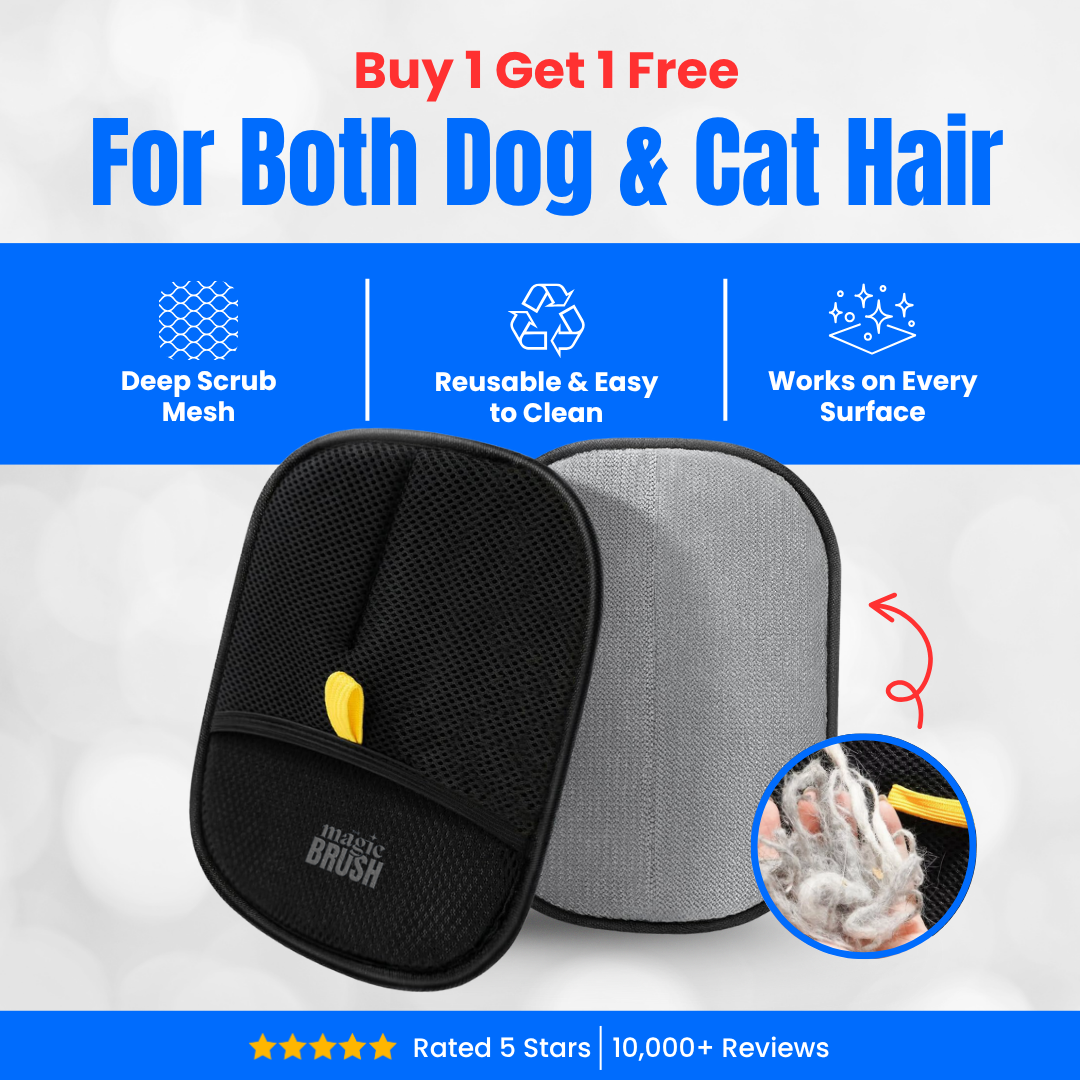 Magic Brush - Buy 1 Get 1 Free
