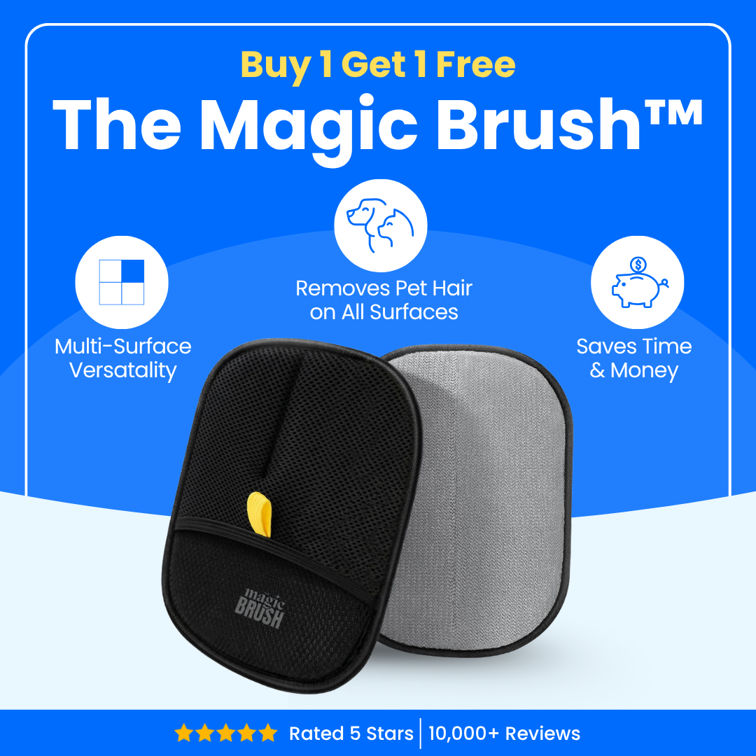 Magic Brush - Buy 1 Get 1 Free