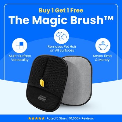 Magic Brush - Buy 1 Get 1 Free