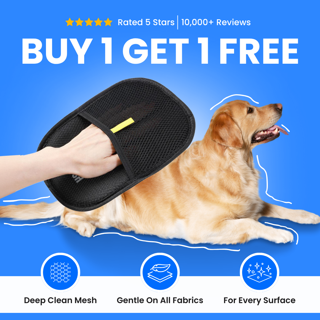 Magic Brush - Buy 1 Get 1 Free