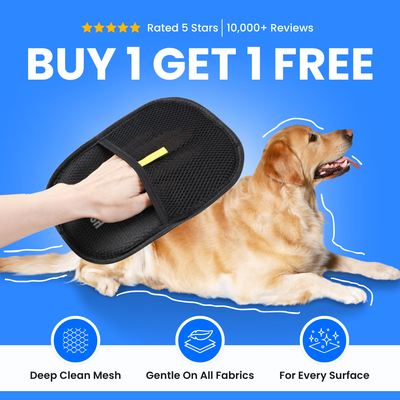Magic Brush - Buy 1 Get 1 Free