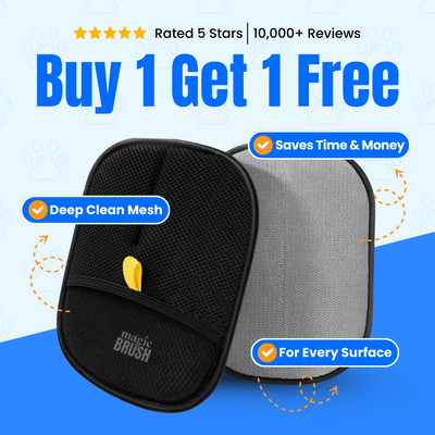 Magic Brush - Buy 1 Get 1 Free